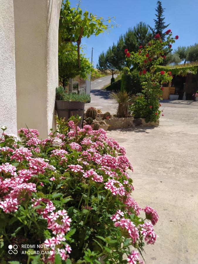 B&B Troisi Racalmuto Exterior foto